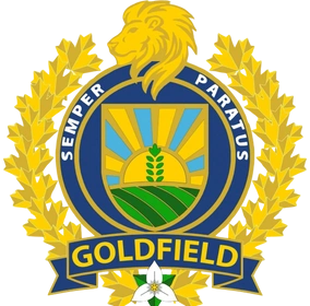 Bespoke Security Services | Goldfield Security